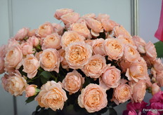 The original Juliette that started it all